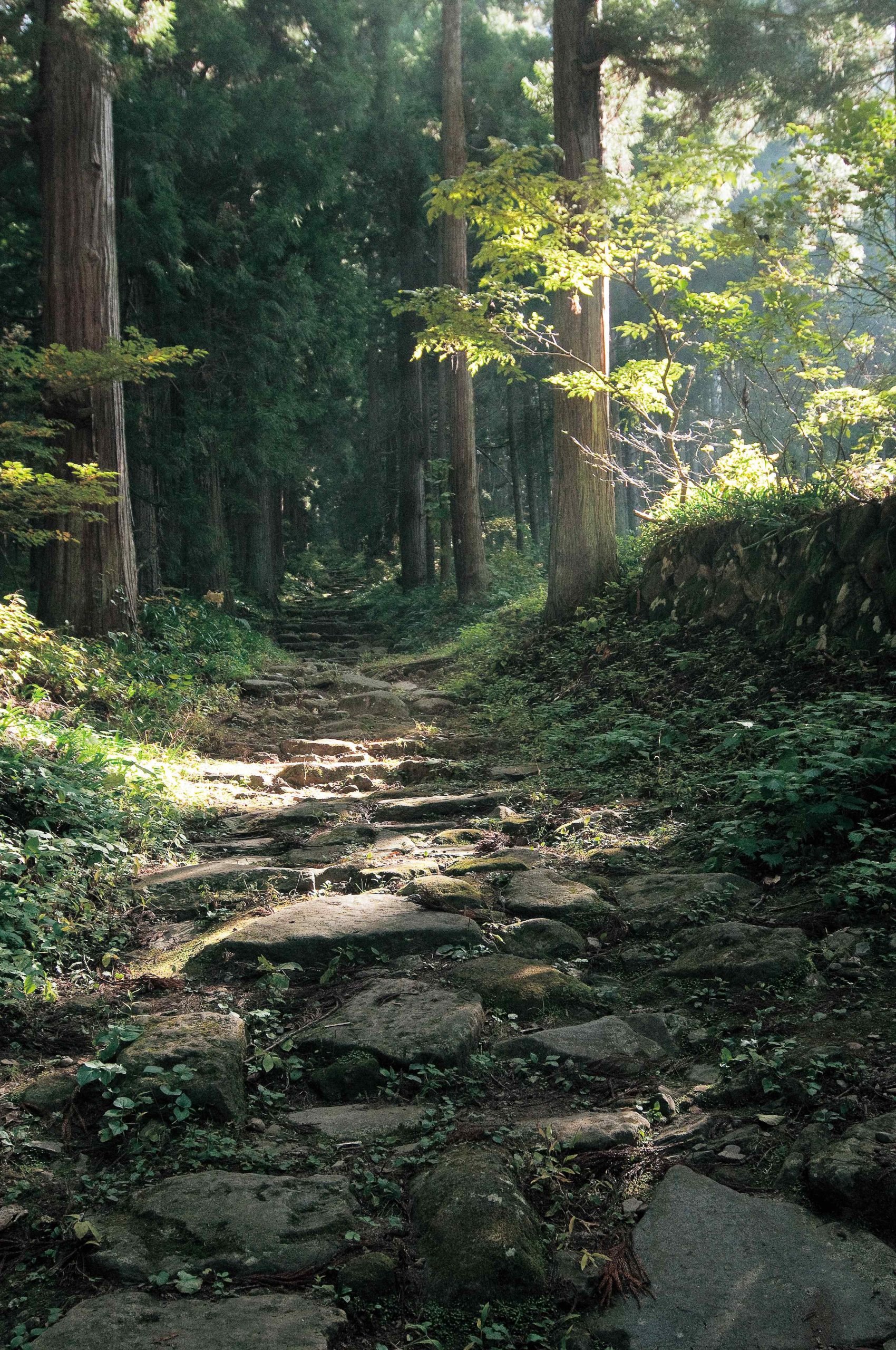 昔懐かしい原風景に出会う旅